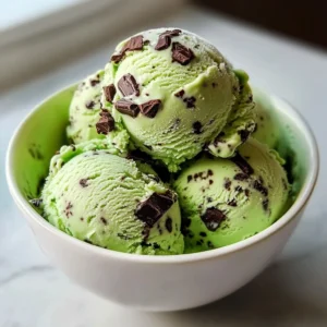 Keto Mint Chocolate Chip Ice Cream